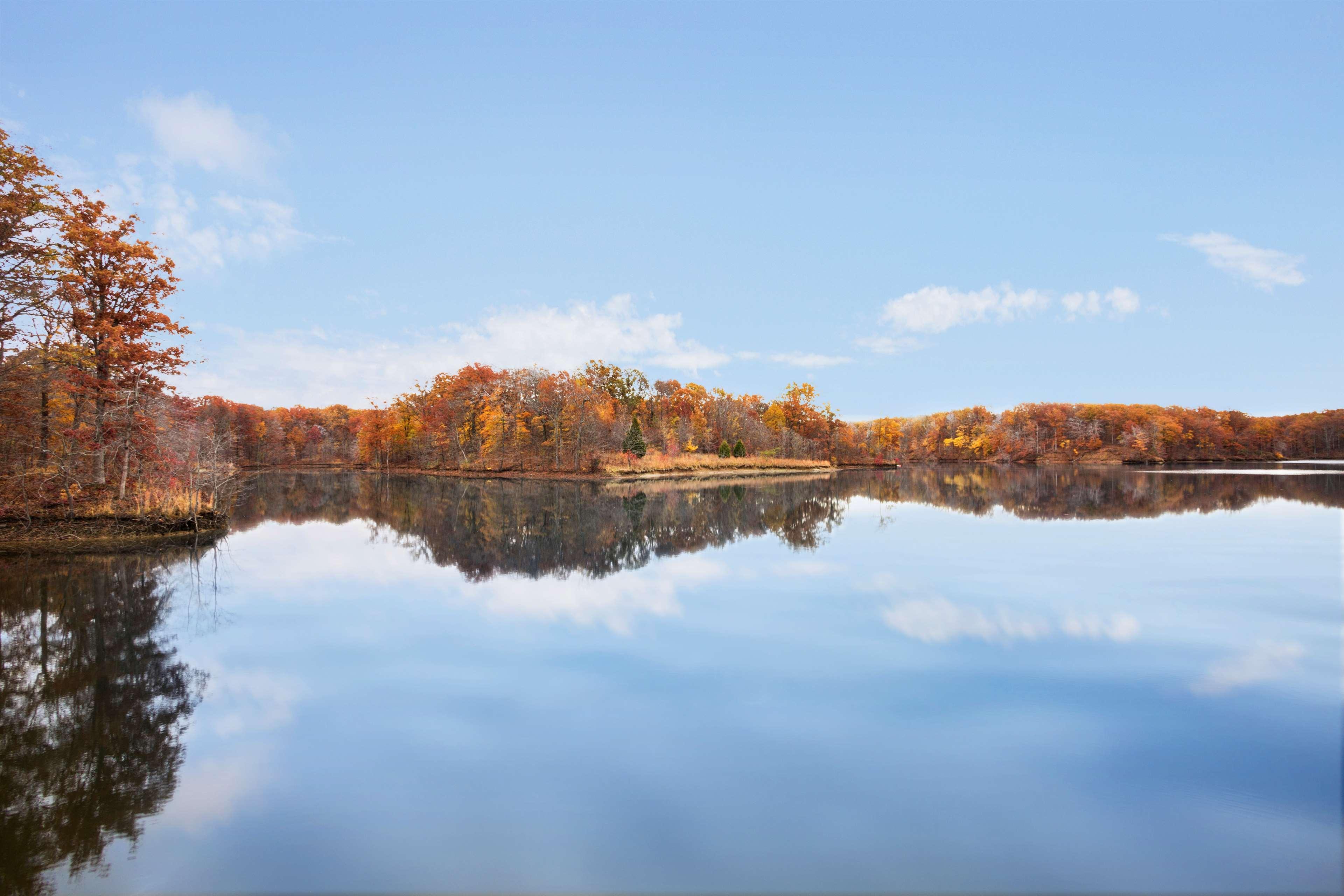 Hampton Inn Форрест-Сити Экстерьер фото